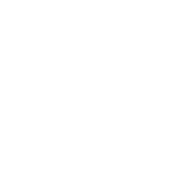 Asset4white01svg2128